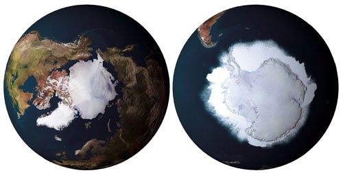 Antártida y Ártico